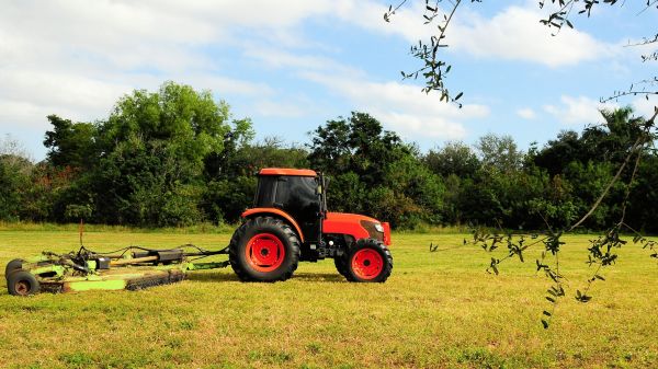 Cape Coral Bush Hogging